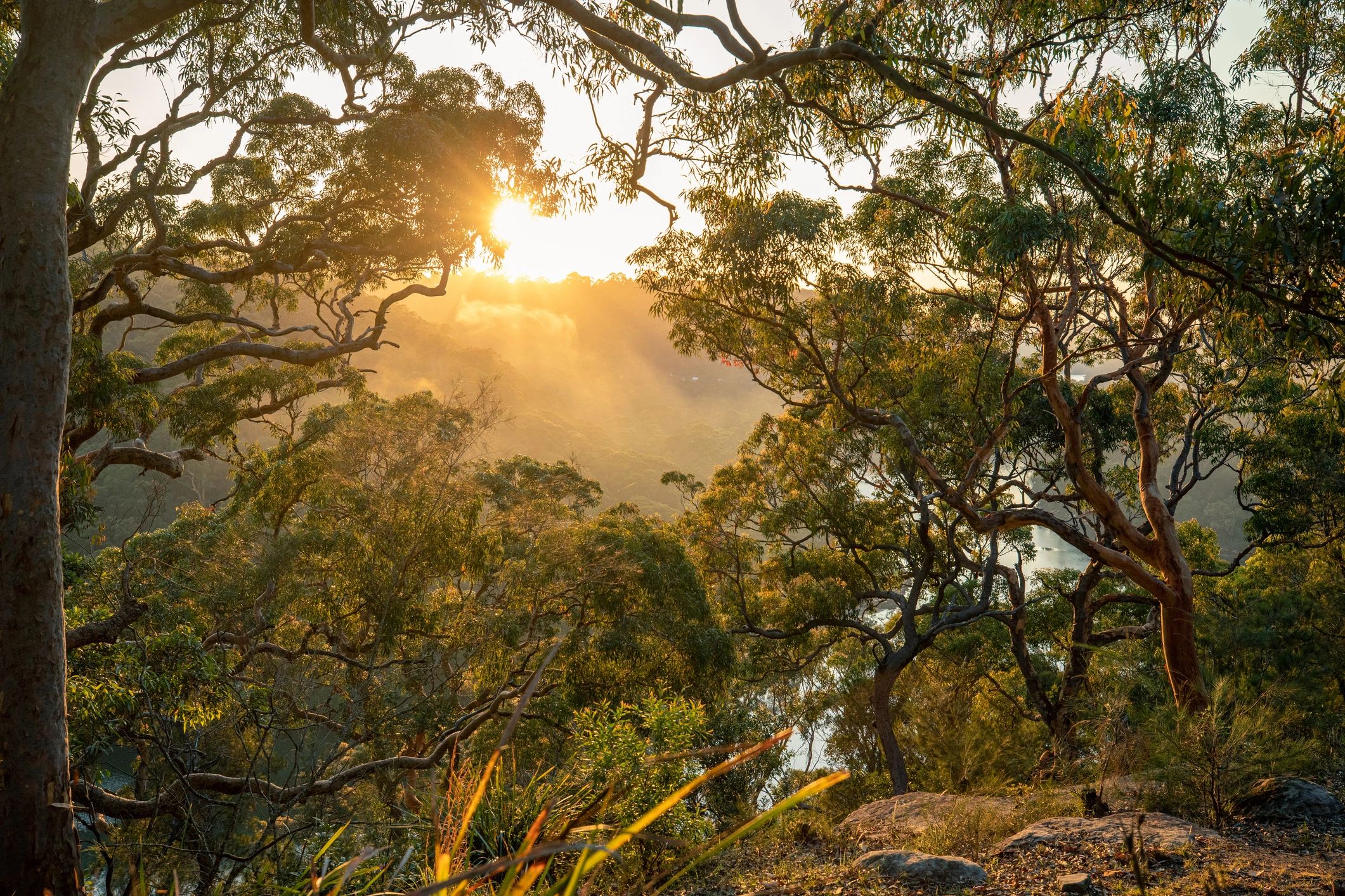 Scenic hiking trail in NSW